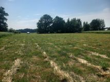 Działka budowlana Przemocze. Zdjęcie 4