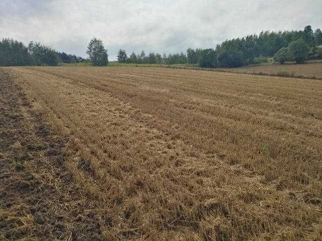 Działka budowlana Jakubowice Konińskie-Kolonia, ul. Zemborska. Zdjęcie 6