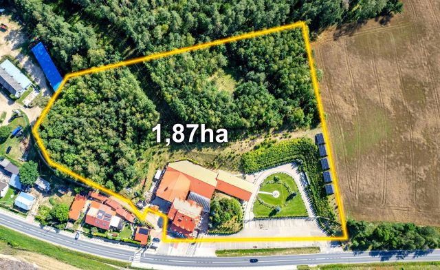 Hotel/pensjonat Mławka, Mławka. Zdjęcie 1