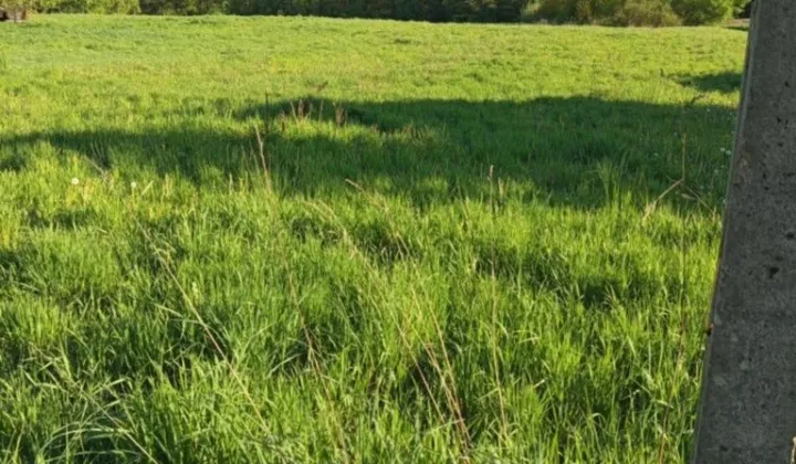 Działka rolno-budowlana Rączna