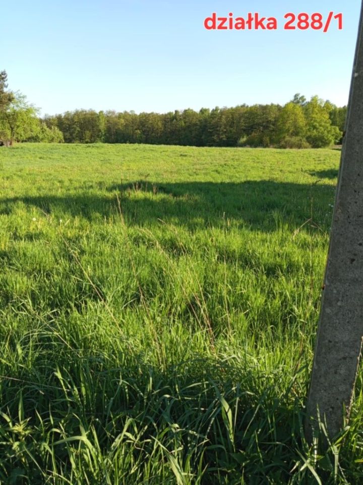 Działka rolno-budowlana Rączna