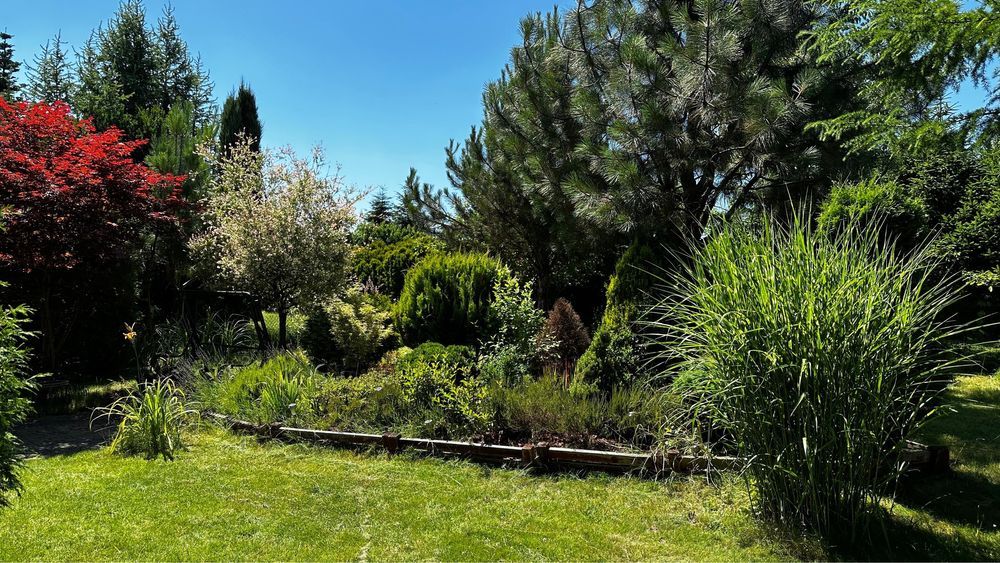 Działka rekreacyjna Jastrzębie-Zdrój