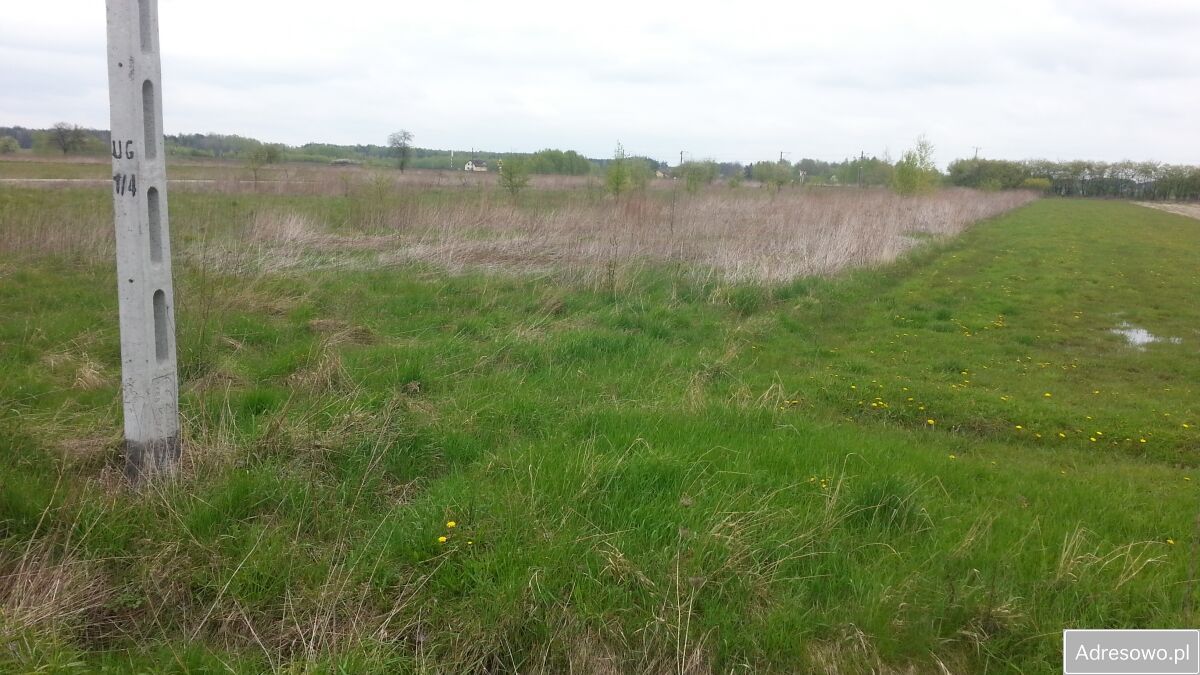 Działka rolna Wólka Iłówiecka. Zdjęcie 2