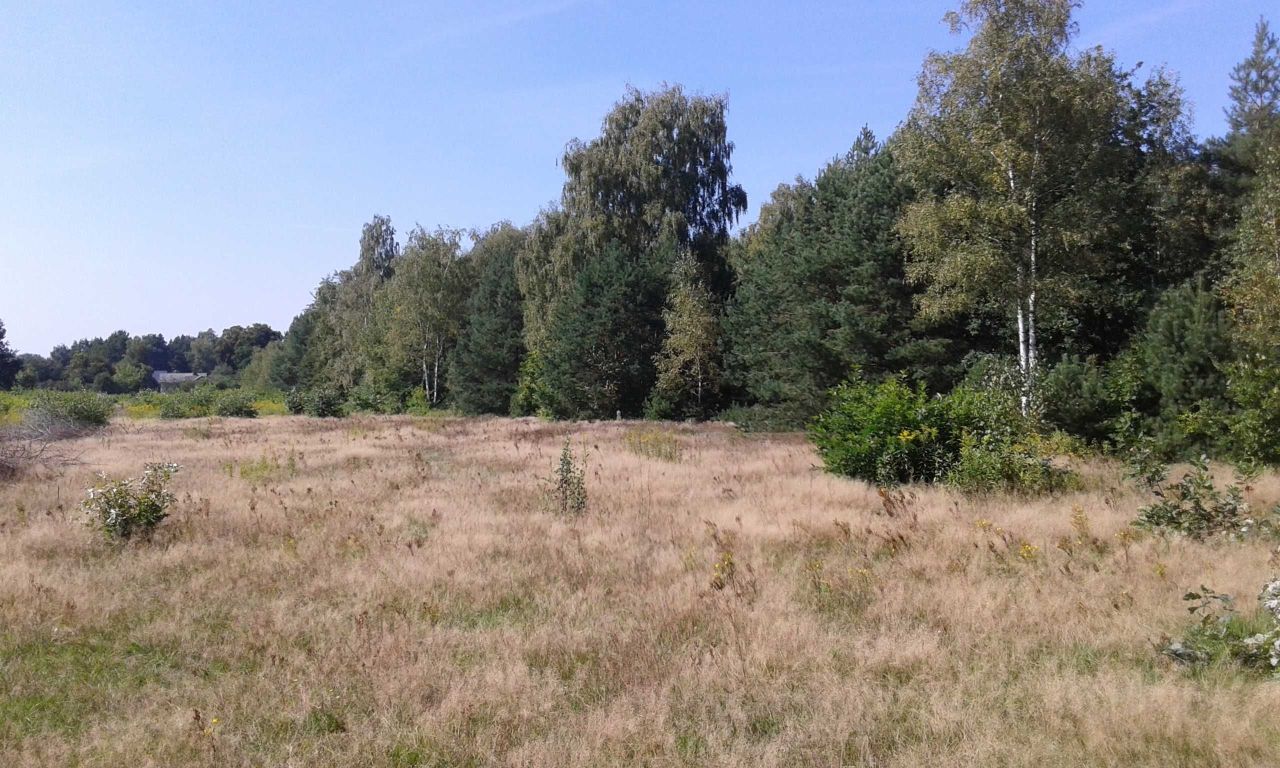 Działka budowlana Józefów Kolonia Błota, ul. Nadwiślańska. Zdjęcie 3