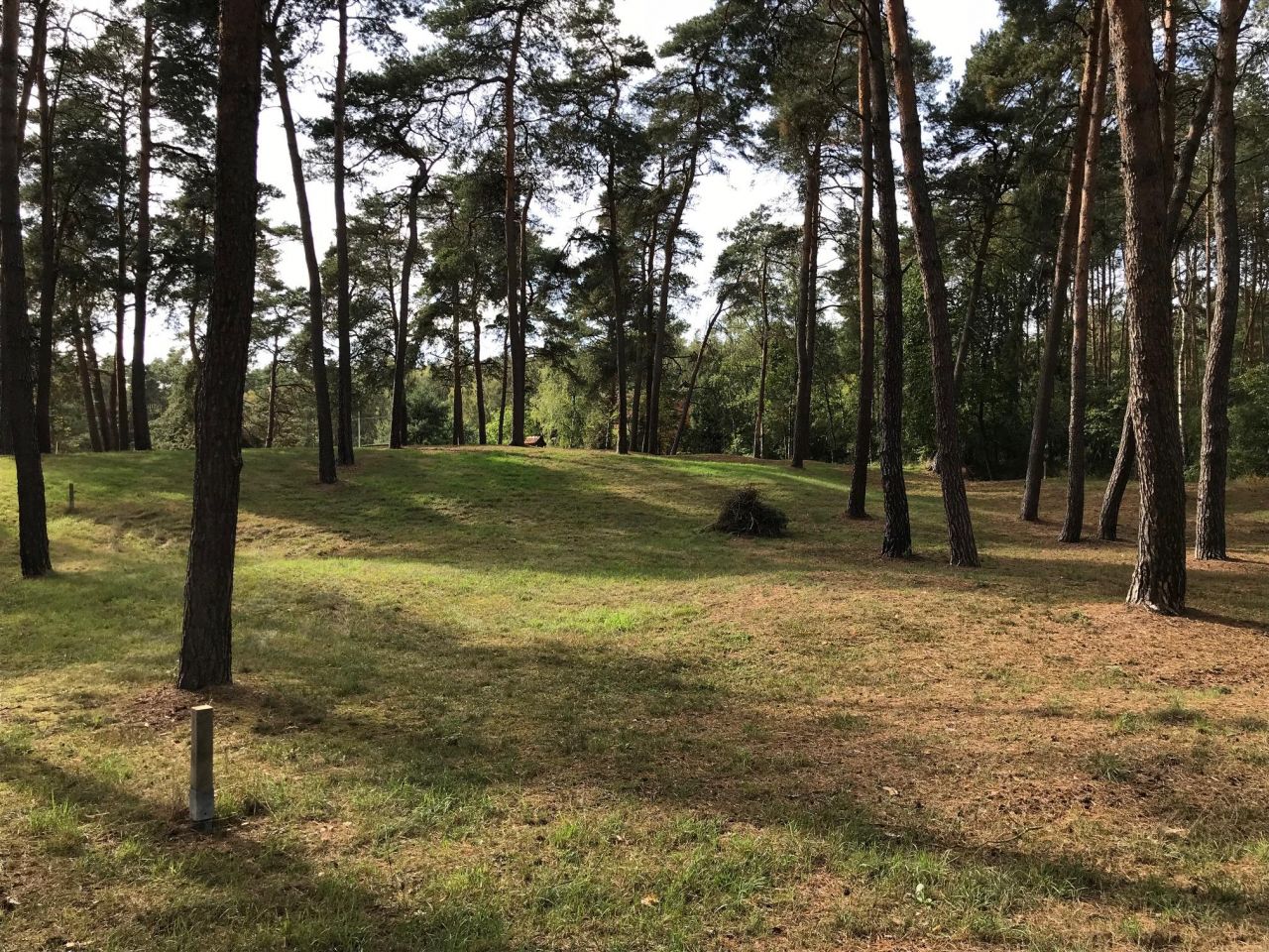 Działka budowlana Niemieczkowo. Zdjęcie 10