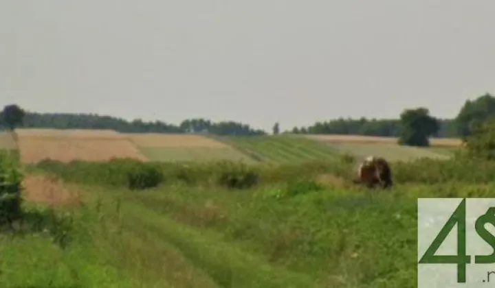 Działka rolna Stary Łajszczew