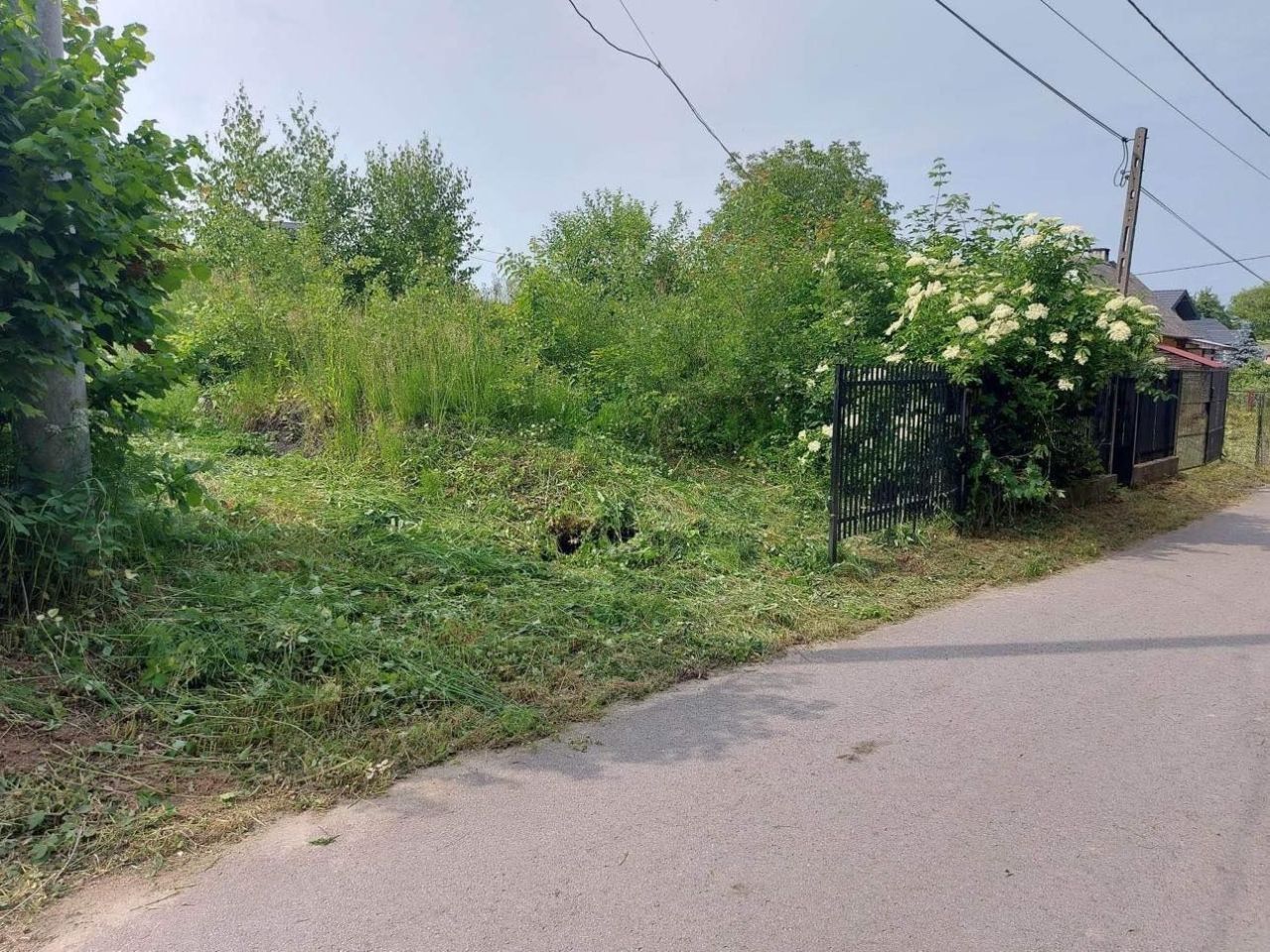 Działka budowlana Jędrzejowice. Zdjęcie 3