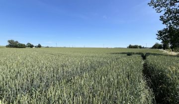Działka rolna Firlus