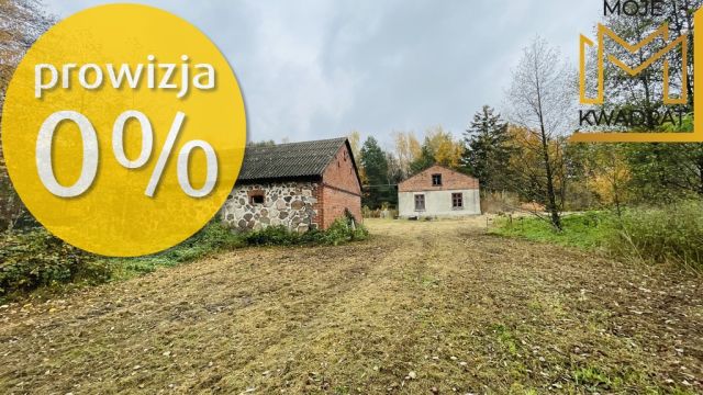 dom wolnostojący, 4 pokoje Drużbice-Kolonia. Zdjęcie 9