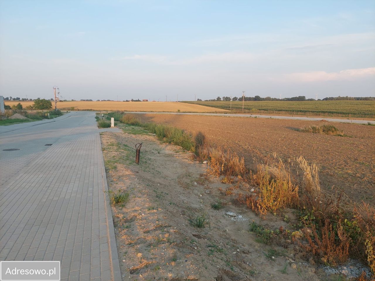 Działka rolno-budowlana Mogilno, ul. Adama Asnyka. Zdjęcie 8