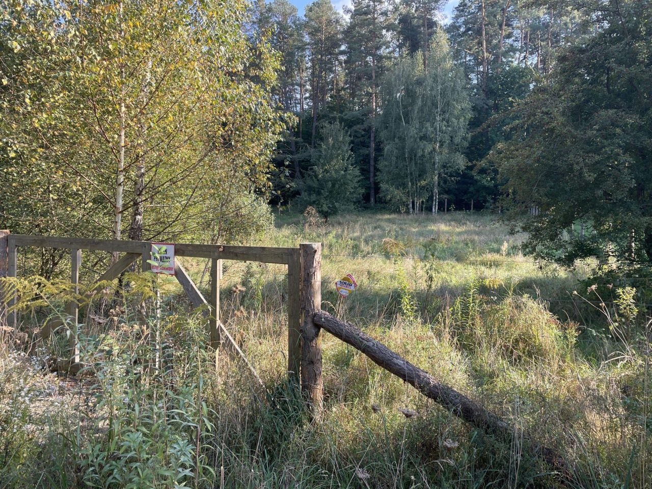 Działka budowlana Siemiany. Zdjęcie 3