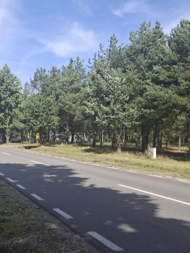 Działka budowlana Marynino. Zdjęcie 8