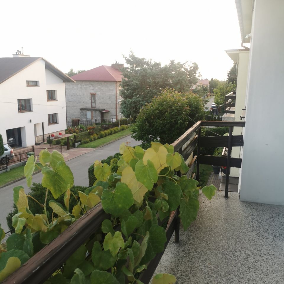 bliźniak, 5 pokoi Przeworsk, ul. Kazimierza Koczocika. Zdjęcie 7