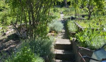 Działka rod Gdańsk Siedlce, ul. Józefa Wieniawskiego