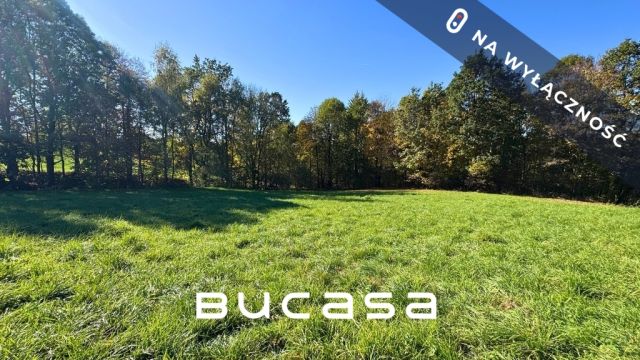 Działka budowlana Gorzków. Zdjęcie 5