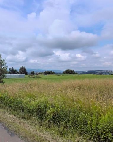 Działka budowlana Korczyna. Zdjęcie 1