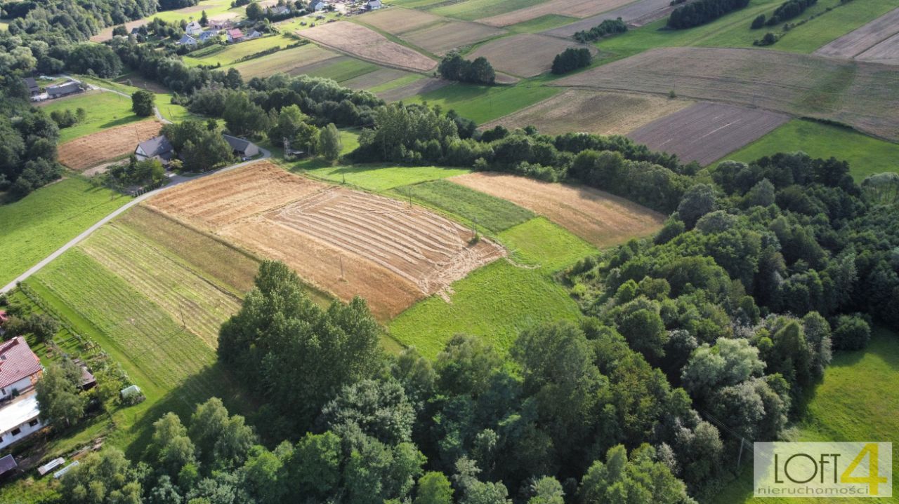 Działka rolno-budowlana Siemiechów. Zdjęcie 2