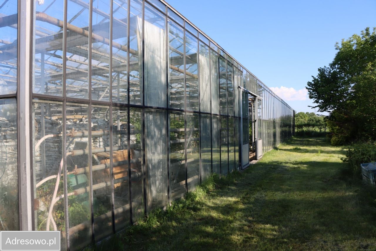 Działka rekreacyjna Antoniówka Świerżowska. Zdjęcie 11