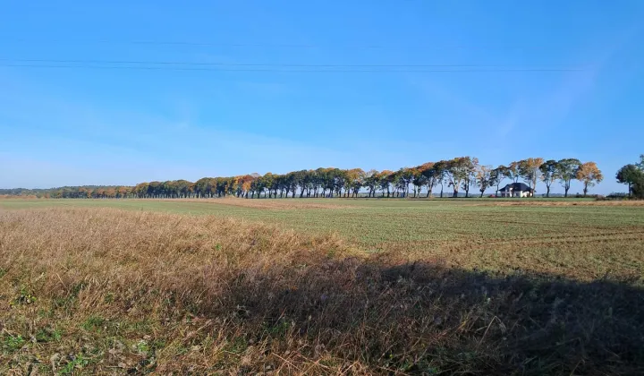 Działka siedliskowa Sławno