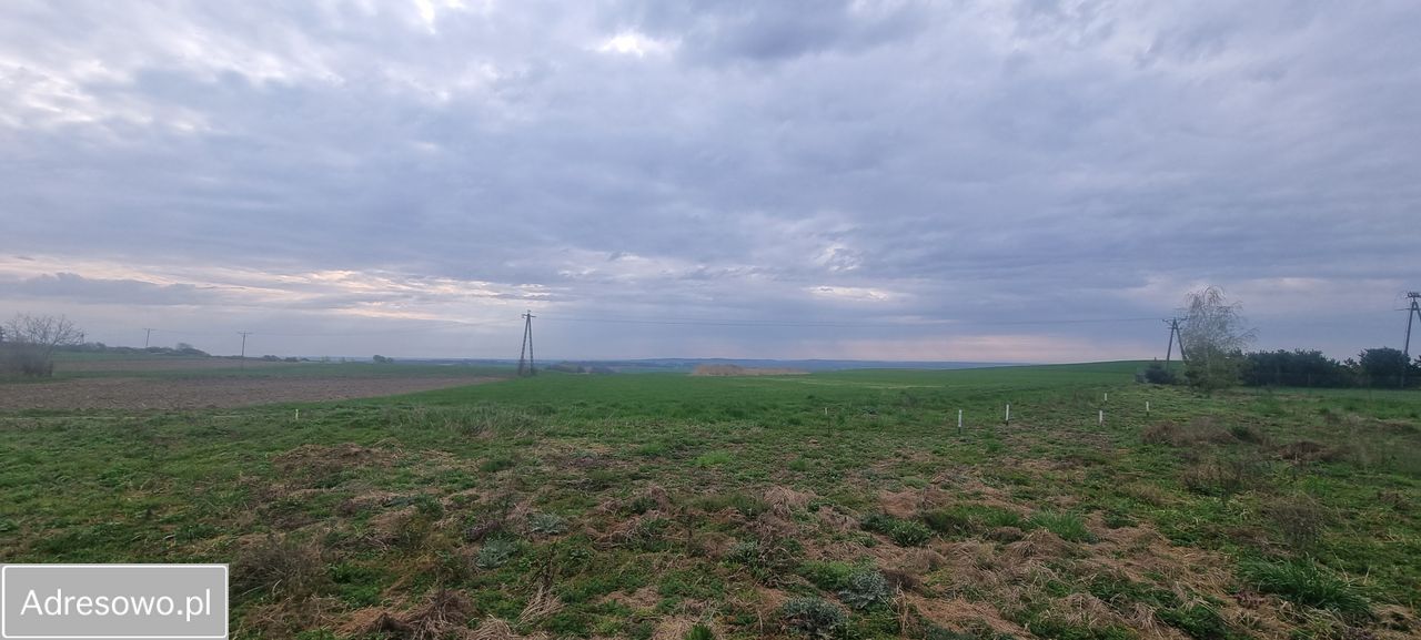 Działka budowlana Wińsko. Zdjęcie 3