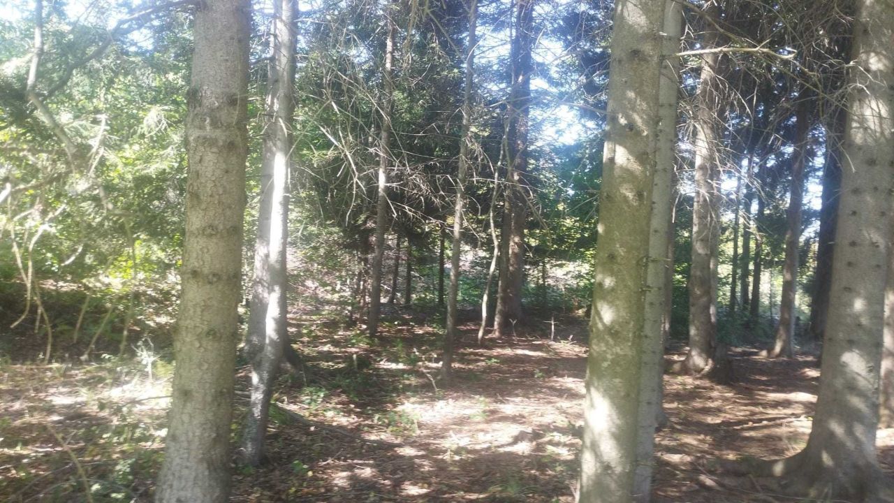 Działka rolna Jugowice. Zdjęcie 3