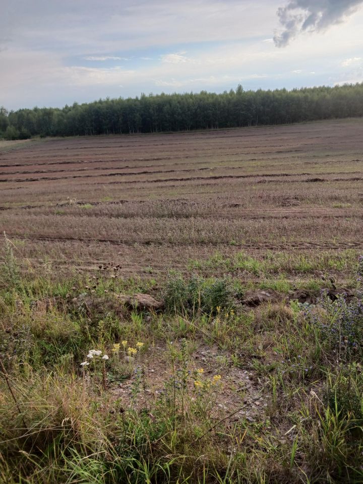 Działka rolno-budowlana Silnowo, Asfaltowa. Zdjęcie 1