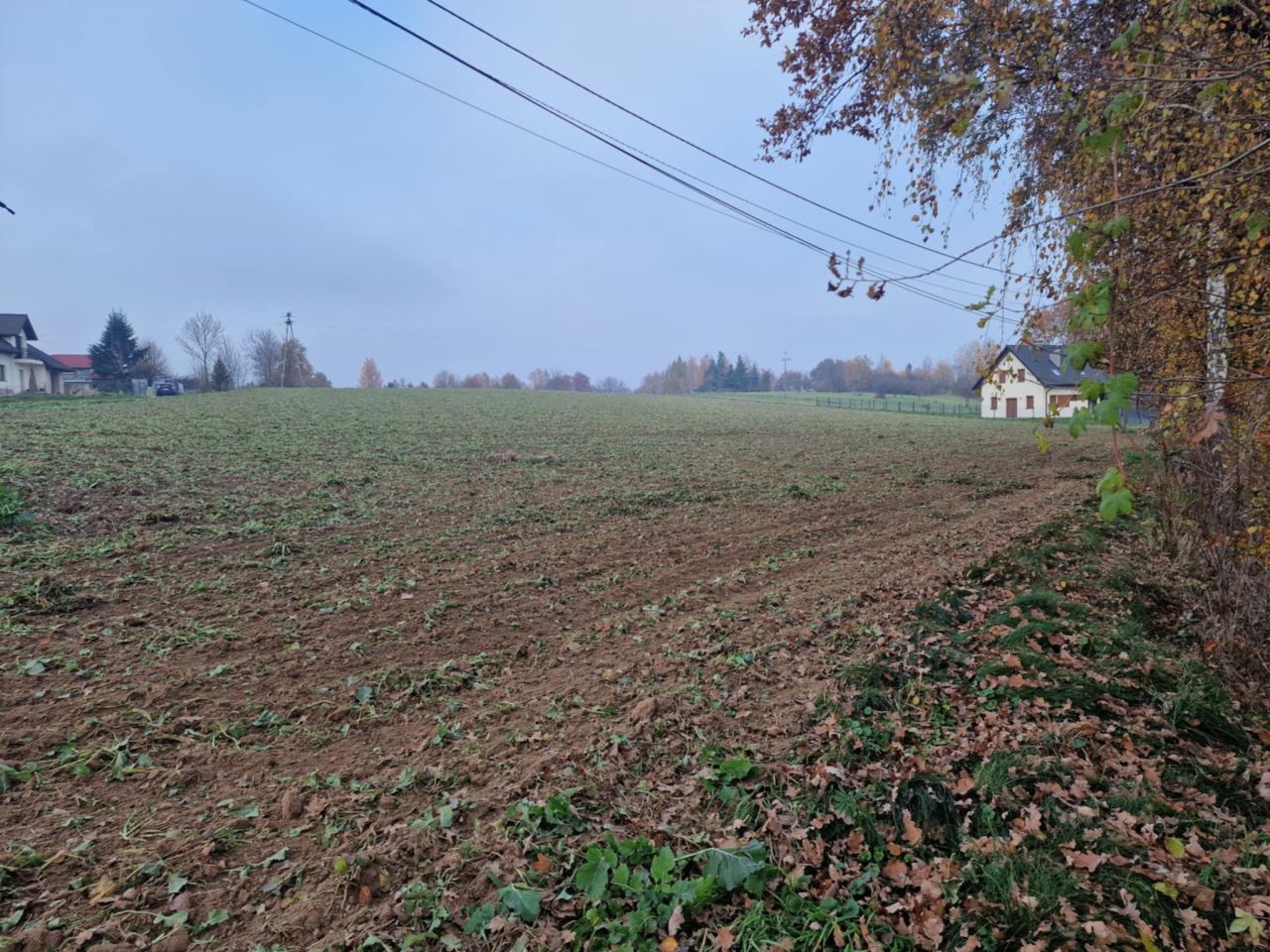 Działka rolno-budowlana Jaroszówka. Zdjęcie 7