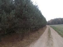 Działka rolna Stary Świętochów. Zdjęcie 2