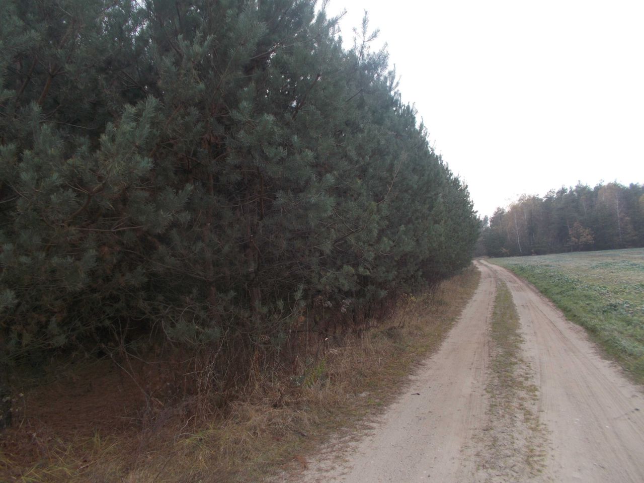 Działka rolna Stary Świętochów. Zdjęcie 3