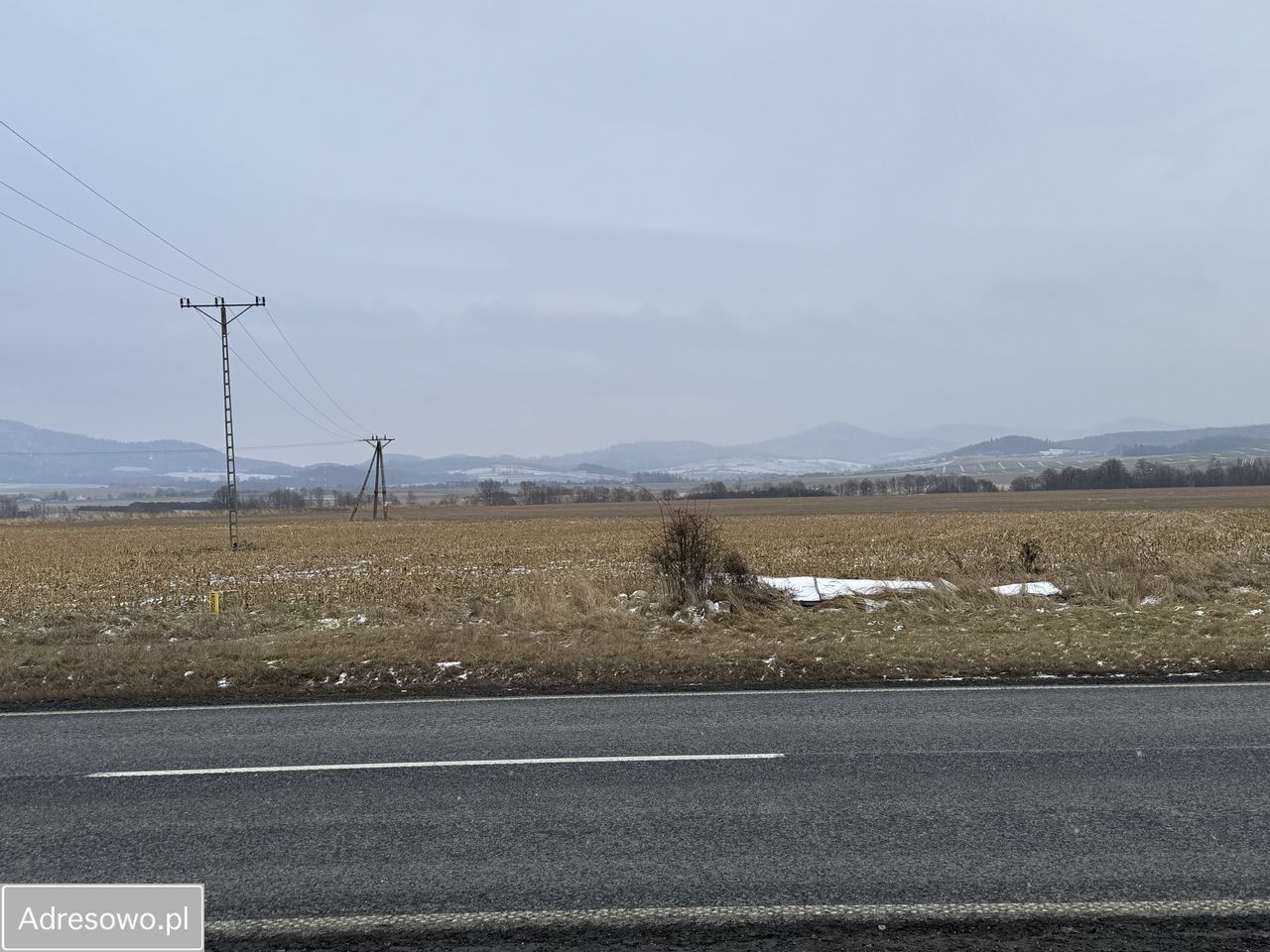 Działka inwestycyjna Jaszkowa Dolna. Zdjęcie 5
