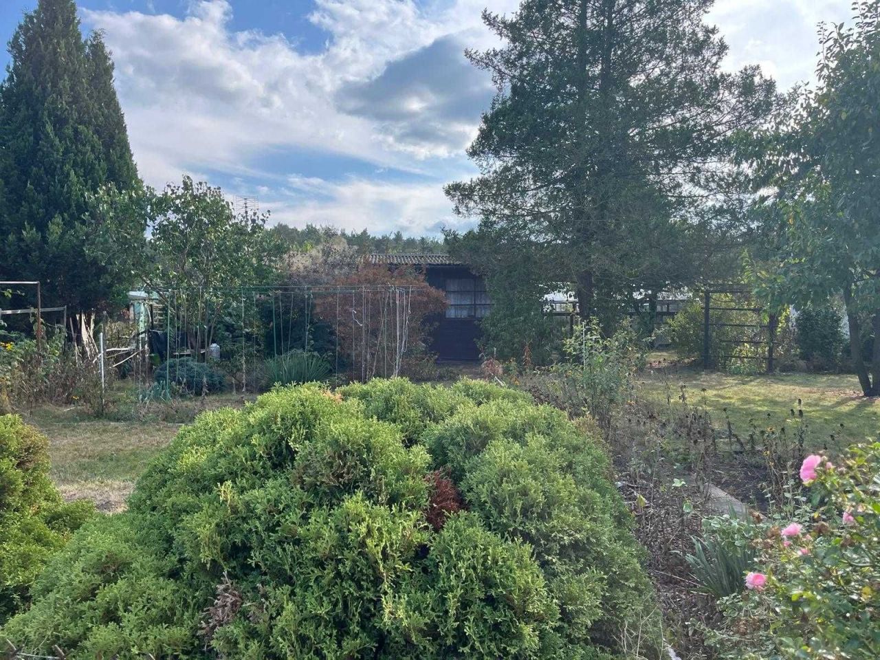 Działka rod Słomin. Zdjęcie 6