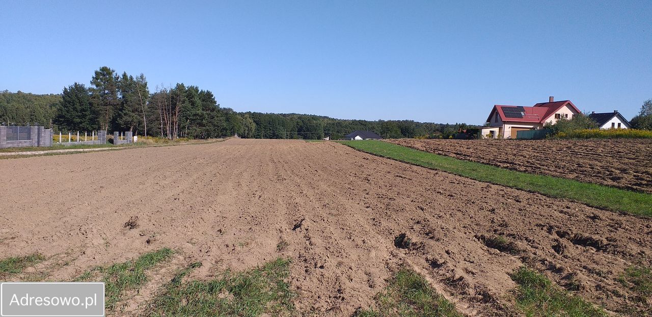 Działka budowlana Stare Skoszewy, ul. Źródlana. Zdjęcie 5