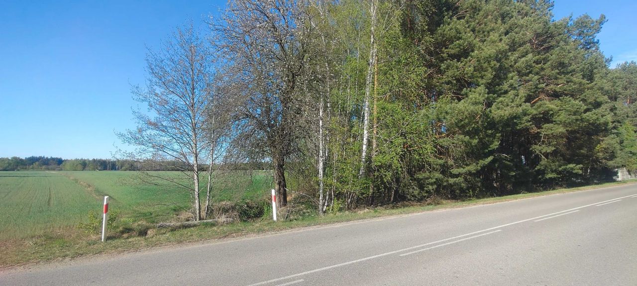 Działka budowlana Napiórki Butne. Zdjęcie 7