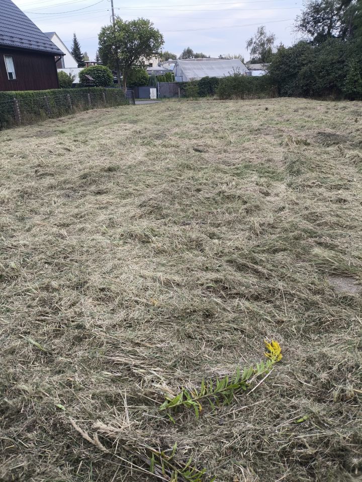 Działka na sprzedaż bez pośredników 
 
 ul. Stawowa 
 
 Czeladź Piaski - Widok 3