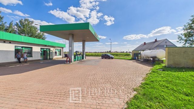 Lokal Bednary, ul. 10 Pułku Piechoty. Zdjęcie 35