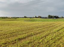 Działka rolna Górkło