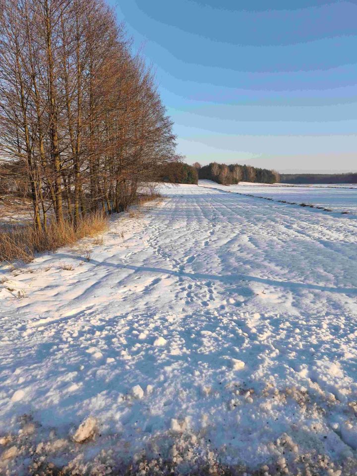 Działka rolna Żelechlin. Zdjęcie 4