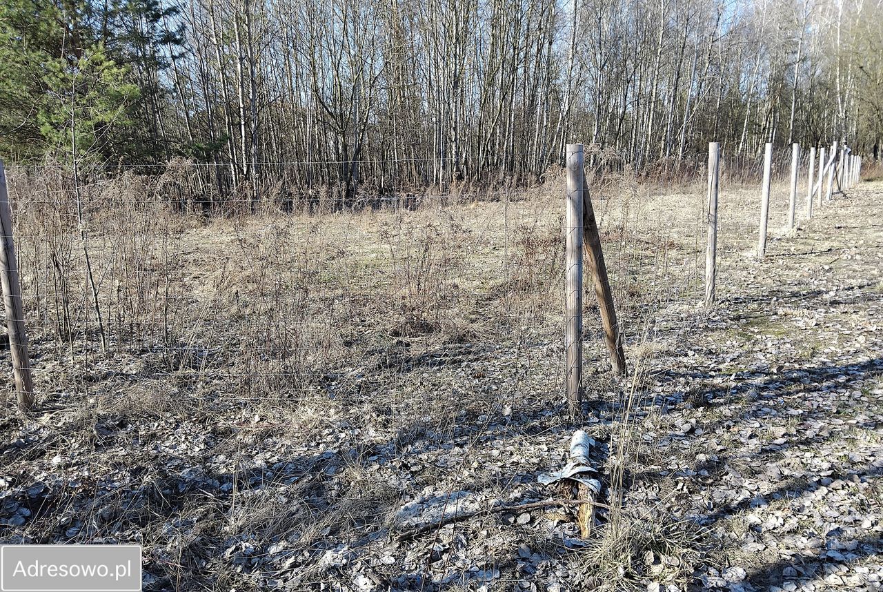 Działka budowlana Komorów, ul. Paproci. Zdjęcie 2