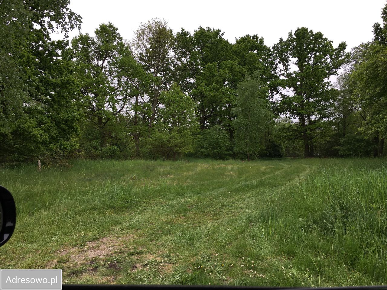 Działka inwestycyjna Arciechów, ul. Dąbrowiecka. Zdjęcie 4