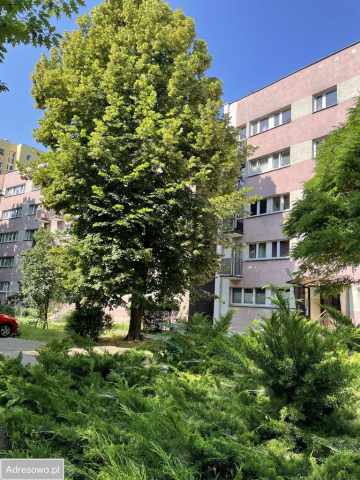 Mieszkanie 2-pokojowe Warszawa Wola, ul. Wieluńska. Zdjęcie 14