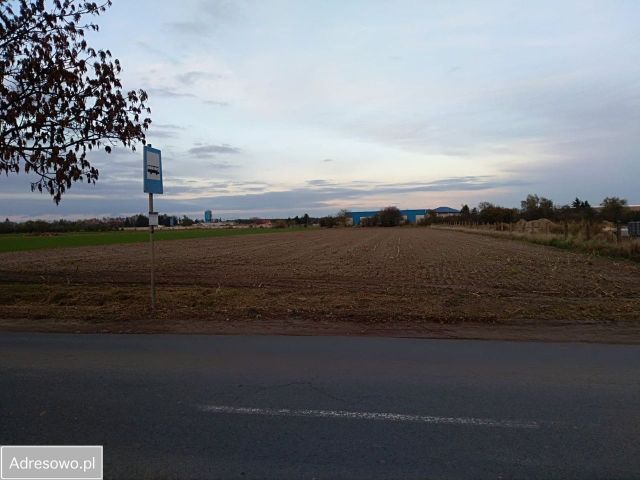 Działka inwestycyjna Leszno Gronowo, ul. Wilkowicka. Zdjęcie 1