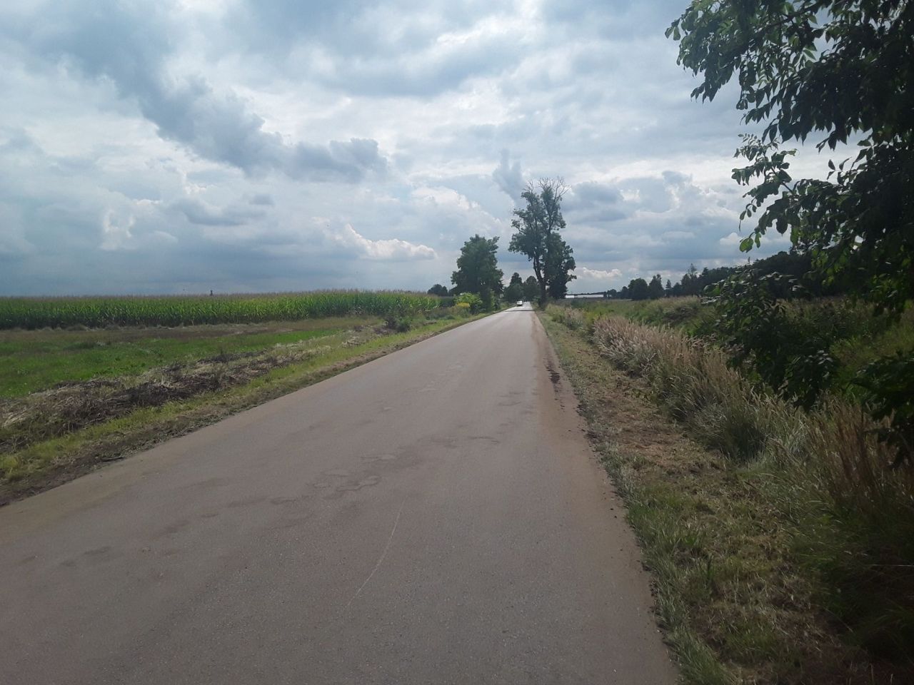 Działka rolno-budowlana Chrząstowice. Zdjęcie 2