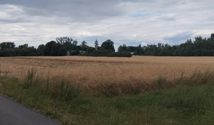 dom wolnostojący, 3 pokoje Śniadówka