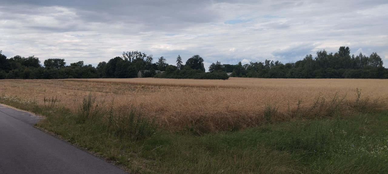 dom wolnostojący, 3 pokoje Śniadówka