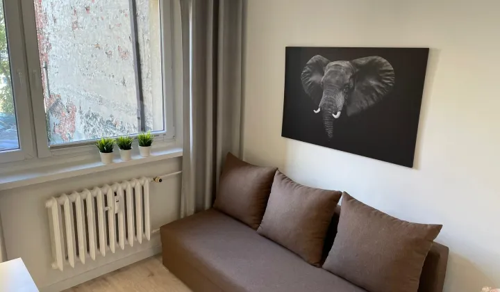 Mieszkanie 1-pokojowe Chorzów, ul. Krzyżowa