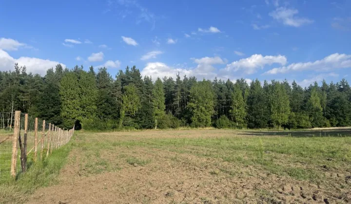 Działka rekreacyjna Demlin