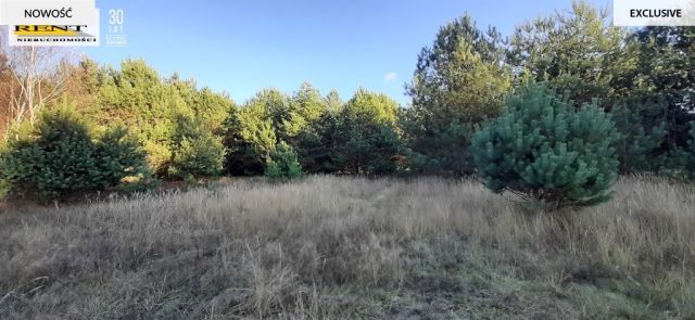 Działka rekreacyjna Krzywnica. Zdjęcie 10