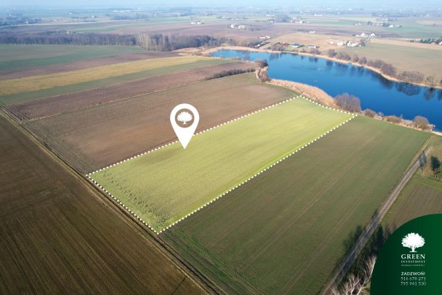 Działka rolna Trąbin-Wieś. Zdjęcie 2