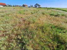 Działka budowlana Jaszkowo