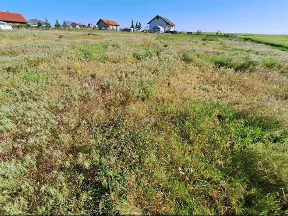 Działka budowlana Jaszkowo